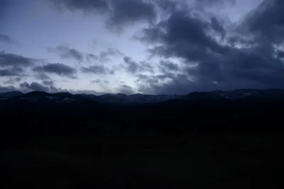 DSC_0982 (Large).JPG